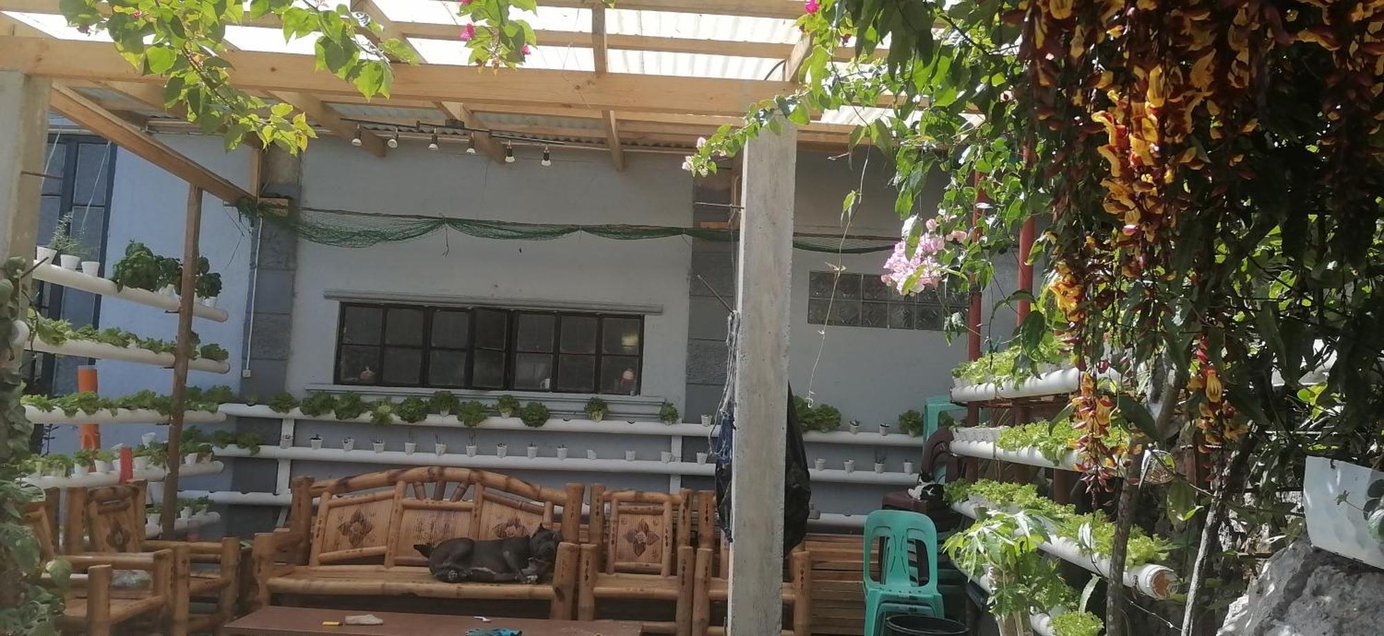 Mavy's Maligcong Bontoc (Mountain Province)